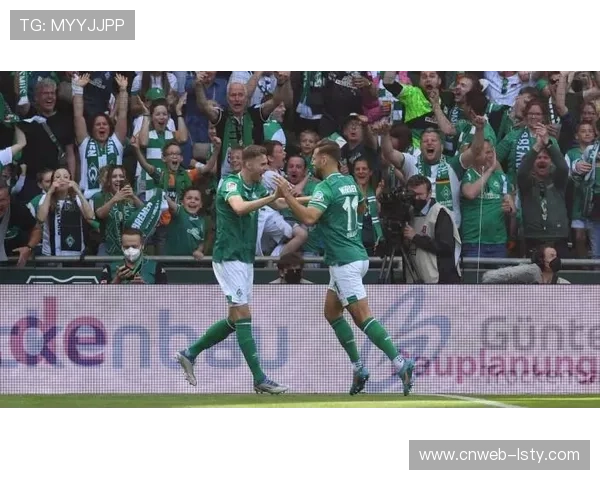 德甲球场可持续改造计划启动,太阳能顶棚覆盖率达60% 德甲球场可持续改造计划启动,太阳能顶棚覆盖率达60%